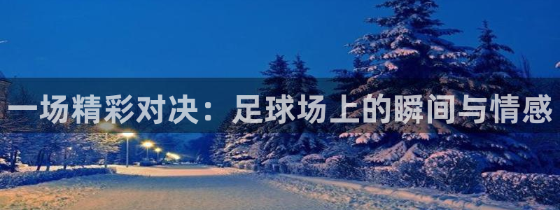一场精彩对决：足球场上的瞬间与情感