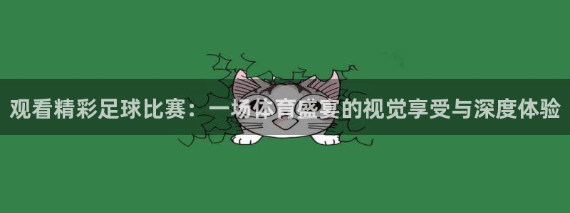 观看精彩足球比赛：一场体育盛宴的视觉享受与深度体验