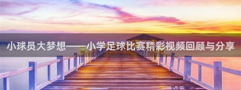 小球员大梦想——小学足球比赛精彩视频回顾与分享