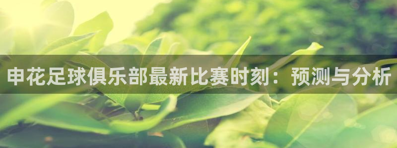  申花足球俱乐部最新比赛时刻：预测与分析