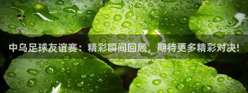  中乌足球友谊赛：精彩瞬间回顾，期待更多精彩对决!