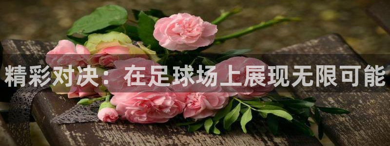 精彩对决：在足球场上展现无限可能
