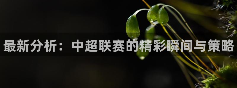最新分析：中超联赛的精彩瞬间与策略