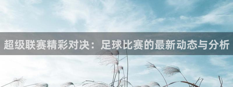 超级联赛精彩对决：足球比赛的最新动态与分析