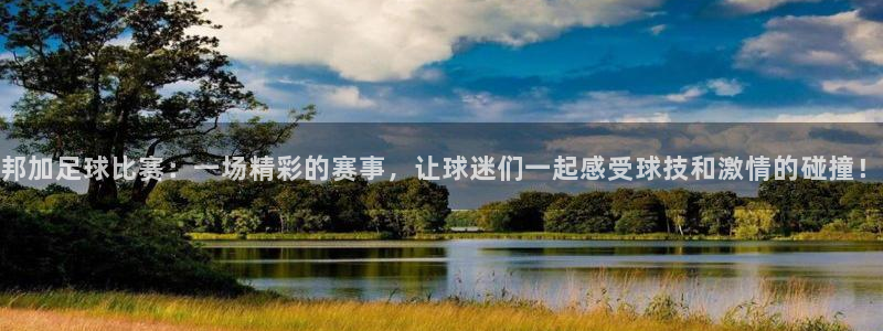 邦加足球比赛：一场精彩的赛事，让球迷们一起感受球技和激情的碰