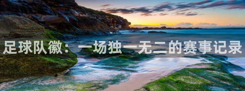 足球队徽：一场独一无二的赛事记录