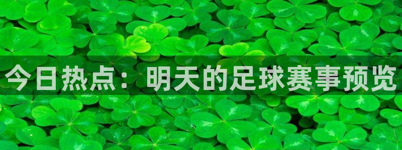 今日热点：明天的足球赛事预览