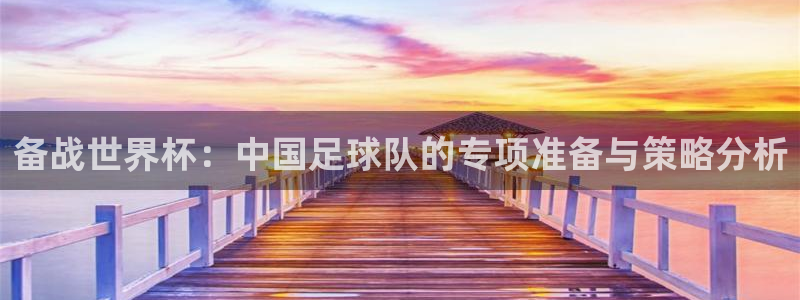  备战世界杯：中国足球队的专项准备与策略分析