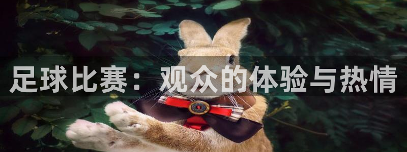 足球比赛：观众的体验与热情