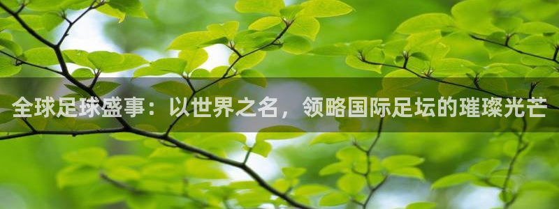 全球足球盛事：以世界之名，领略国际足坛的璀璨光芒