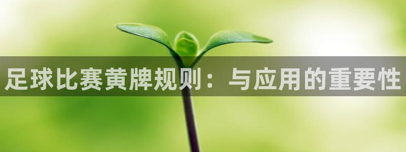  足球比赛黄牌规则：与应用的重要性