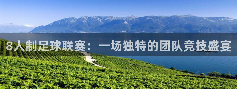 8人制足球联赛：一场独特的团队竞技盛宴