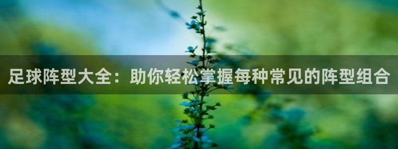 足球阵型大全：助你轻松掌握每种常见的阵型组合