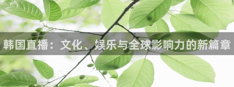 斗球直播ios下载：韩国直播：文化、娱乐与全球影响力的新篇章