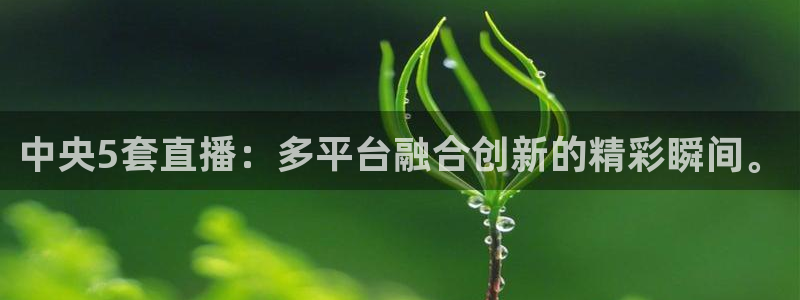 斗球篮球体育直播在线观看：中央5套直播：多平台融合创新的精彩瞬间。