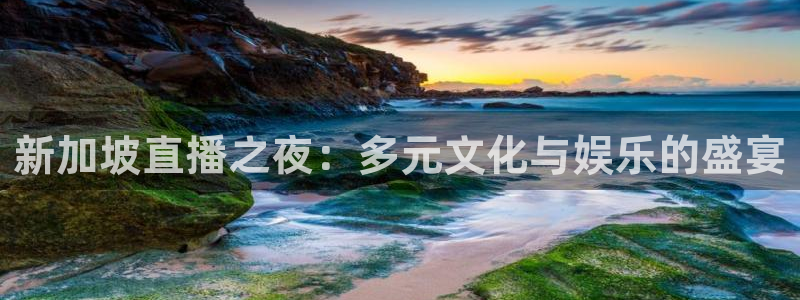 斗球直播app下载官网最新版：新加坡直播之夜：多元文化与娱乐的盛宴