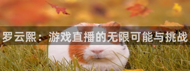 斗球直播app下载ios：罗云熙：游戏直播的无限可能与挑战