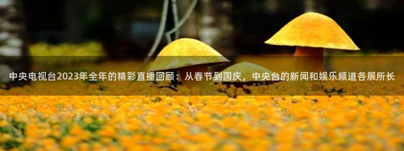 斗球体育app免费直播：中央电视台2023年全年的精彩直播回顾：从春节到国庆，中央台的新闻和娱乐频道各展所长