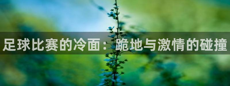 足球比赛的冷面：跪地与激情的碰撞