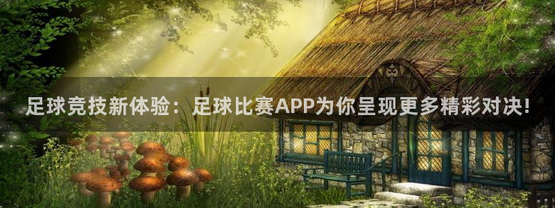 足球竞技新体验：足球比赛APP为你呈