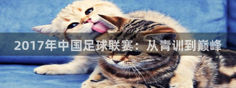 2017年中国足球联赛：从青训到巅峰