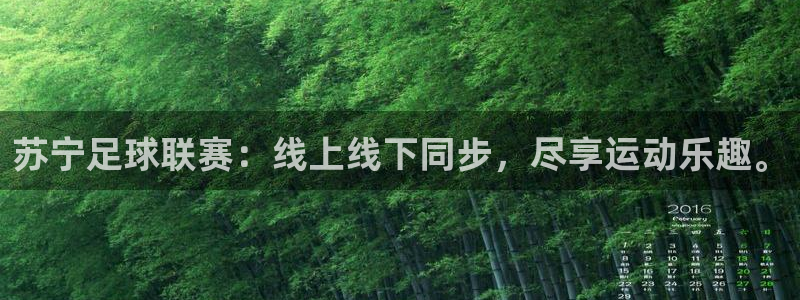 苏宁足球联赛：线上线下同步，尽享运动