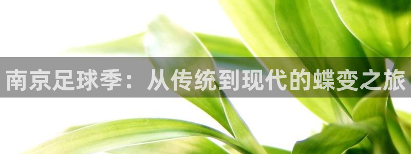 南京足球季：从传统到现代的蝶变之旅