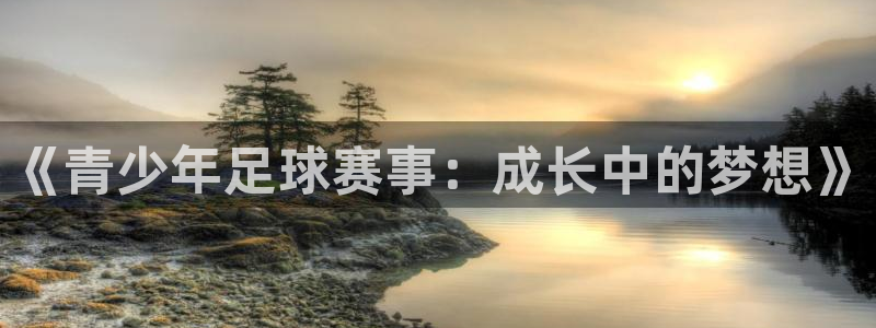 《青少年足球赛事：成长中的梦想》