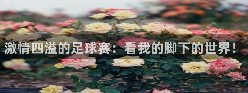 激情四溢的足球赛：看我的脚下的世界！