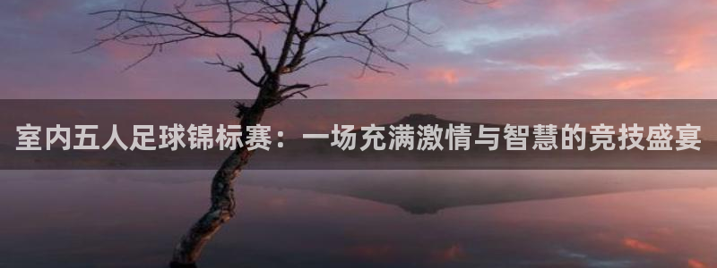 室内五人足球锦标赛：一场充满激情与智