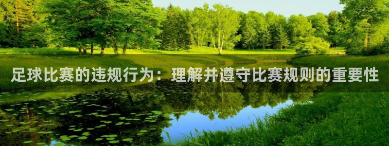 足球比赛的违规行为：理解并遵守比赛规