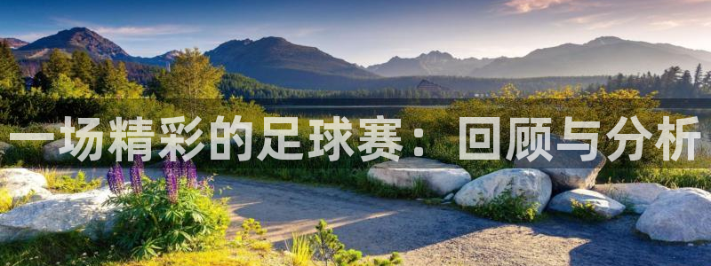 一场精彩的足球赛：回顾与分析
