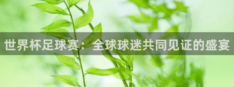 世界杯足球赛：全球球迷共同见证的盛宴