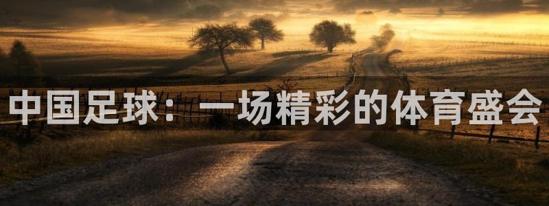 中国足球：一场精彩的体育盛会