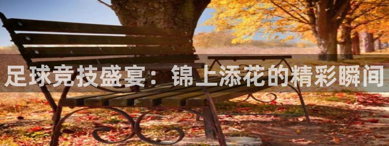 足球竞技盛宴：锦上添花的精彩瞬间