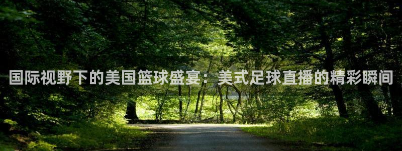 国际视野下的美国篮球盛宴：美式足球直