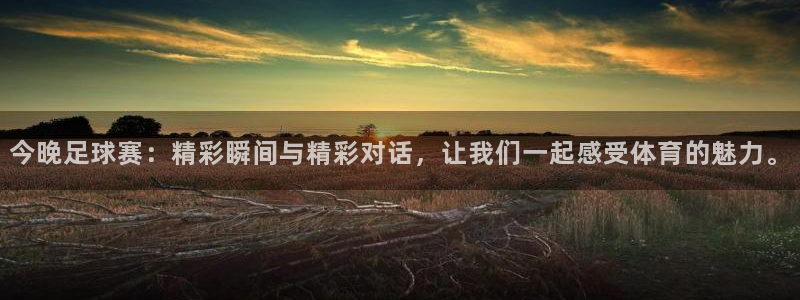 今晚足球赛：精彩瞬间与精彩对话，让我