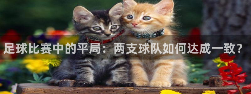 足球比赛中的平局：两支球队如何达成一