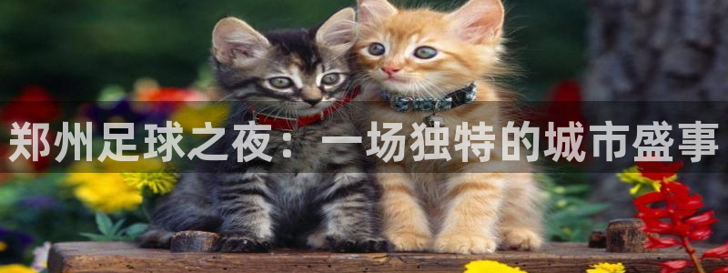 郑州足球之夜：一场独特的城市盛事