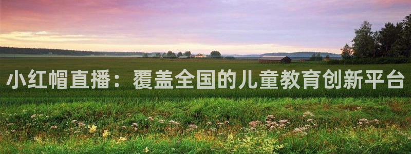 斗球直播nba