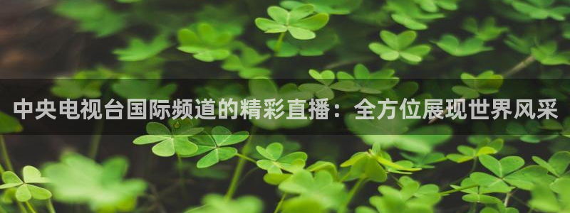 斗球猛哥直播间