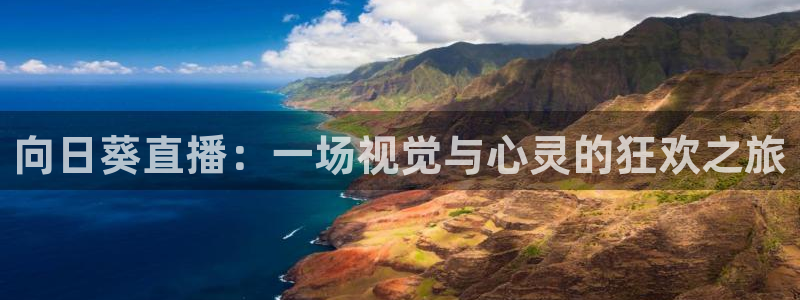 nba斗球直播免费观看直播在线：向日葵直播：一场视觉与心灵的狂欢之旅