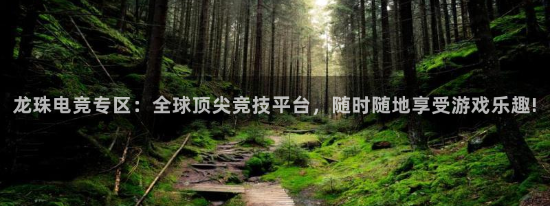 斗球体育直播app：龙珠电竞专区：全球顶尖竞技平台，随时随地享受游戏乐趣!