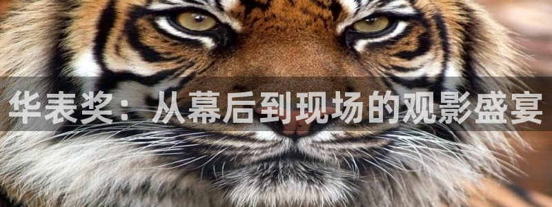 斗球直播官方网站入口：华表奖：从幕后到现场的观影盛宴