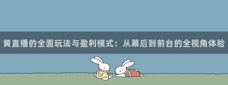 nba斗球直播免费观看直播在线：黄直播的全面玩法与盈利模式：从幕后到前台的全视角体验