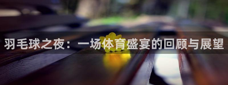 斗球在线免费观看：羽毛球之夜：一场体育盛宴的回顾与展望