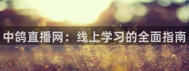 斗球免费直播平台：中鸽直播网：线上学习的全面指南
